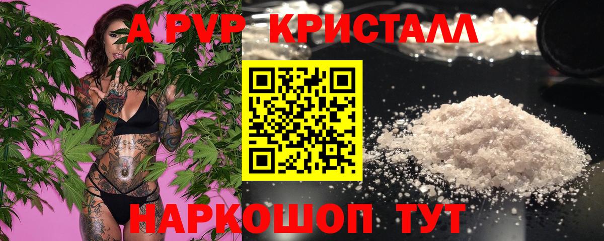 Alfa_PVP СК Ишим