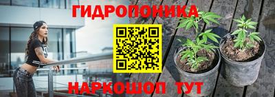 дурь Ливны