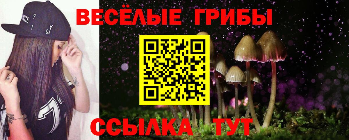 Галлюциногенные грибы Psilocybe  Вход с VPN  Ишим 
